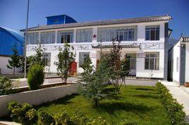 甸中村委會 甸中村委會