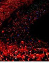 上帝！你給我去死！