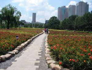 長春兒童公園 長春兒童公園