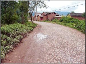 陶營新庄子村 陶營新庄子村