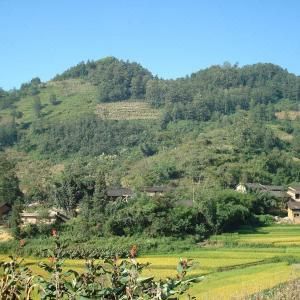 馬覓自然村 馬覓自然村