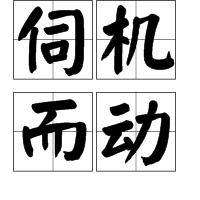 伺機而動