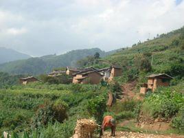 狐狸窩村 狐狸窩村