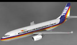 中美洲航空110號班機事故 中美洲航空110號班機事故