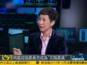 花瓶委員 花瓶委員