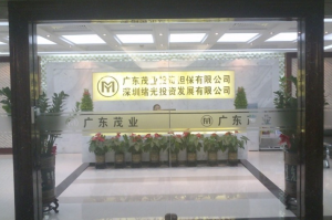 廣東茂業投資擔保有限公司 廣東茂業投資擔保有限公司