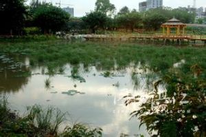 綠塘河濕地公園