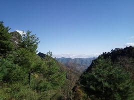 琵琶鎮[甘肅省武都區下轄鎮]