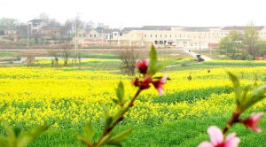 張官屯村 張官屯村