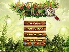 大自然里找動物 大自然里找動物