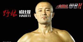 哈比提吐爾遜別克 哈比提吐爾遜別克