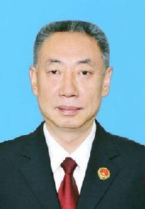 王禹[吉林省人民檢察院副檢察長兼民事檢察部部長]