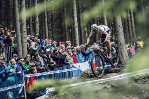 朱利安·阿布薩隆 朱利安·阿布薩隆