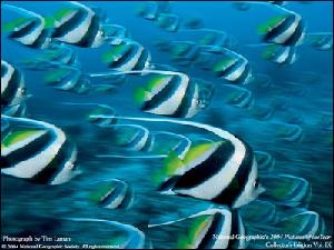 廣州申悅貿易有限公司