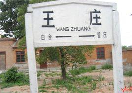 王莊[清代庠生]