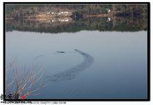 清水河[湖北省安陸市清水河]