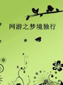 網遊之夢境獨行 網遊之夢境獨行
