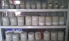 水泥穩定碎石樣品