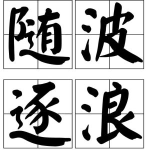 隨波逐浪 隨波逐浪