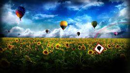 楊曉宇[太原市中級人民法院審判監督庭副庭長]