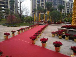 深業江悅灣 深業江悅灣