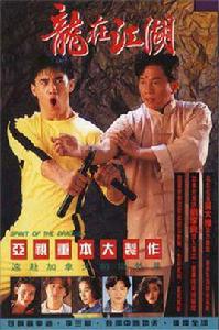 龍在江湖[1992年鞠覺亮編導香港電視劇]
