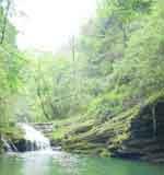 鼓城山森林公園 鼓城山森林公園