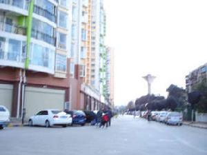 中央麗城 中央麗城