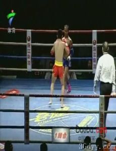 中國功夫VS泰拳