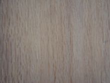 水青岡-歐洲山毛櫸與紅櫸