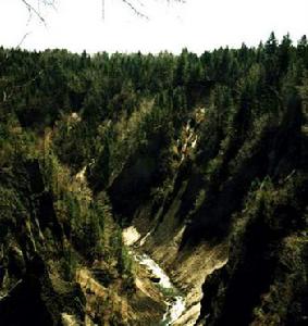 木札嶺原始生態旅遊區