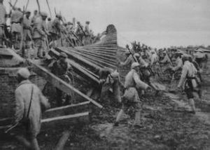 大別山反清剿戰役 大別山反清剿戰役