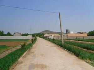 和莊[山東省臨沂市沂南縣和莊村含大和莊、小和莊]