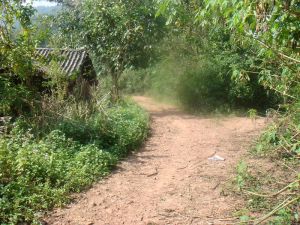 納里田自然村 納里田自然村