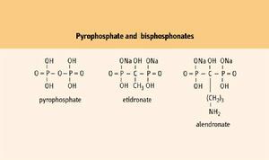 原發性甲狀旁腺功能亢進症與腎病