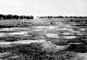 地震工程地質勘察