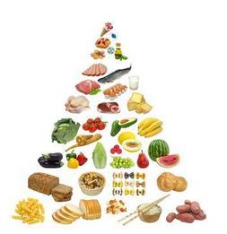 食物金字塔