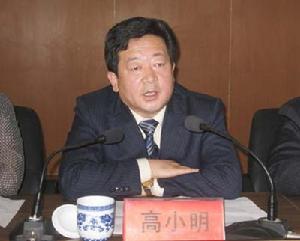 高小明[原陝西神木縣常委、副縣長]