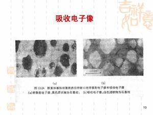 吸收電子像 吸收電子像