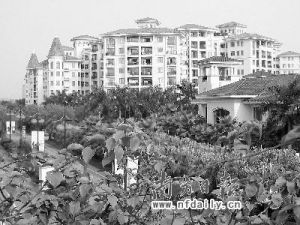 番禺建垃圾發電廠