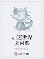 加速世界之閃耀 加速世界之閃耀