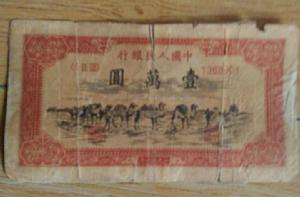 1萬元駱駝隊 1萬元駱駝隊