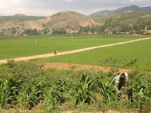 巡龍灣自然村 巡龍灣自然村