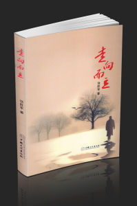 《走向而立》 《走向而立》