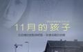 11月的孩子 11月的孩子