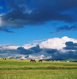 色達草原 色達草原
