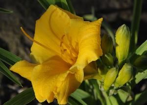 微距功能 微距功能