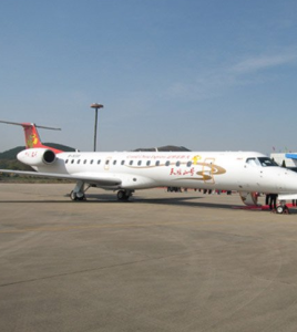 安慶天柱山機場