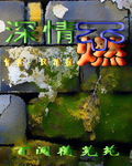 深情不燃 深情不燃