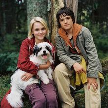 傑西&middot;阿龍斯